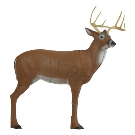 3d deer targets for archery.